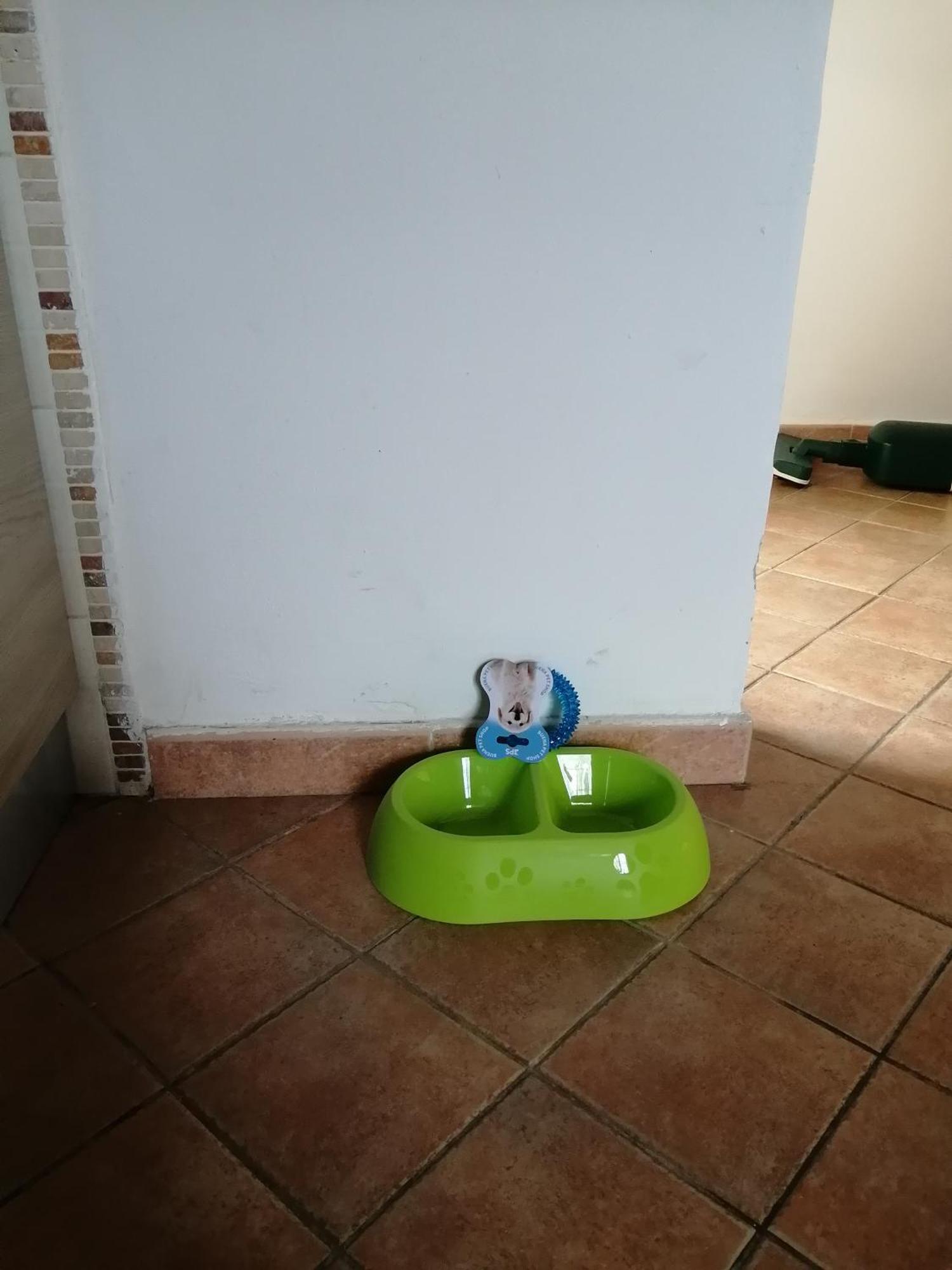 A Casa Mia Daire Pisa Dış mekan fotoğraf
